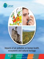 Tài liệu Impacts of air pollution on human health, ecosystems and cultural heritage pdf