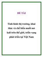 tình hình thị trường, khai thác và chế biến muối mỏ kali trên thế giới, triển vọng phát triển tại việt nam