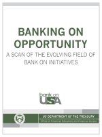 Tài liệu BANKING ON OPPORTUNITY: A SCAN OF THE EVOLVING FIELD OF BANK ON INITIATIVES docx