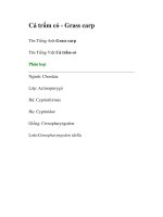Tài liệu Cá trắm cỏ - Grass carp pdf