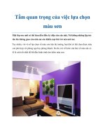 Tài liệu Tầm quan trọng của việc lựa chọn màu sơn pot