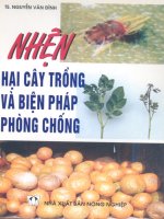 Tài liệu Nhện hại cây trồng và biện pháp phòng chống ppt