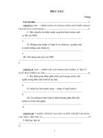 ý nghĩa thời sự vào nep và mấy vấn đề vận dụng vào thực tiễn nước ta