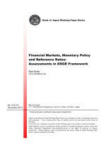 Tài liệu Financial Markets, Monetary Policy and Reference Rates: Assessments in DSGE Framework docx