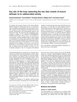 Tài liệu Báo cáo khoa học: Key role of the loop connecting the two beta strands of mussel defensin in its antimicrobial activity docx