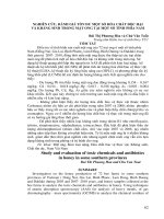 Tài liệu BÁO CÁO 