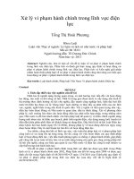 Xử lý vi phạm hành chính trong lĩnh vực điện lực