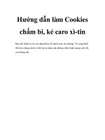 Tài liệu Hướng dẫn làm Cookies chấm bi, kẻ caro xì-tin ppt