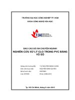 Tài liệu NGHIÊN CỨU XỬ LÝ CLO TRONG PVC BẰNG VỎ SÒ pot