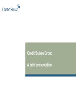 Tài liệu Credit Suisse Group A brief presentation ppt