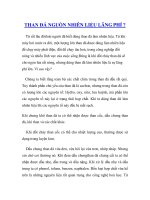 Tài liệu THAN ĐÁ NGUỒN NHIÊN LIỆU LÃNG PHÍ ? doc