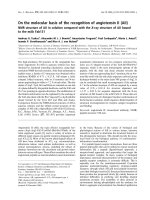 Tài liệu Báo cáo khoa học: NMR structure of AII in solution compared with the X-ray structure of AII bound to the mAb Fab131 pptx