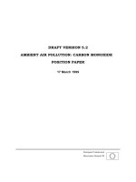 Tài liệu DRAFT VERSION 5.2 AMBINET AIR POLLUTION: CARBON MONOXIDE POSITION PAPER doc