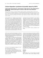 Tài liệu Báo cáo khoa học: Calcium-independent cytoskeleton disassembly induced by BAPTA pdf