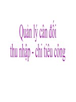Tài liệu Quản lý cân đối thu nhập - chi tiêu công potx