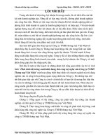 phát triển thị trường xuất khẩu hàng thủ công mỹ nghệ của công ty tnhh thương mại việt nhật