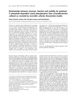 Tài liệu Báo cáo khoa học: Relationships between structure, function and stability for pyridoxal 5¢-phosphate-dependent starch phosphorylase from Corynebacterium callunaeas revealed by reversible cofactor dissociation studies doc