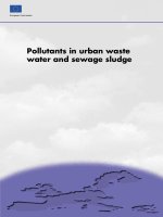 Tài liệu Pollutants in urban waste water and sewage sludge doc