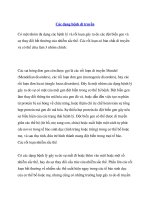 Tài liệu Các dạng bệnh di truyền doc