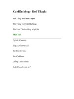 Tài liệu Cá điêu hồng - Red Tilapia doc