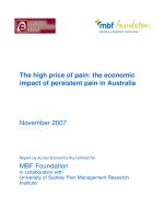 Tài liệu The high price of pain: the economic impact of persistent pain in Australia pdf