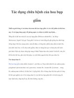 Tài liệu Tác dụng chữa bệnh của hoa bụp giấm pdf