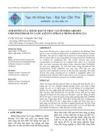 Tài liệu ẢNH HƯỞNG CỦA THUỐC BẢO VỆ THỰC VẬT FENOBUCARB ĐẾN CHOLINESTERASE Ở CÁ LÓC (CHANNA STRIATA) TRONG RUỘNG LÚA pptx