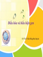 điều hòa hoạt động biểu hiện của gen