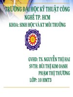 báo cáo đa dạng sinh học và ô nhiễm công nghiệp