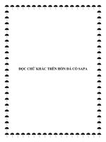Tài liệu ĐỌC CHỮ KHẮC MỸ THUẬTTRÊN HÒN ĐÁ CỔ SAPA pot