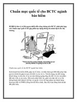 Tài liệu Chuẩn mực quốc tế cho BCTC ngành bảo hiểm pot