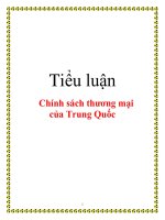 Tài liệu Tiểu luận: Chính sách thương mại của Trung Quốc pot