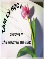 Tài liệu Cảm giác và tri giác potx