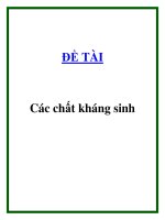 đề tài các chất kháng sinh