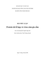 Tài liệu BỘ GIÁO DỤC VÀ ĐÀO TẠO TRƯỜNG ĐẠI HỌC NÔNG LÂM TP HỒ CHÍ MINH BỘ MÔN CÔNG ppt