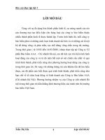 giải pháp nâng cao hiệu quả khai thác nghiệp vụ bảo hiểm hàng hoá xuất nhập khẩu vận chuyển bằng đường biển tại công ty cổ phần bảo hiểm aaa