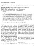 Tài liệu Báo cáo 