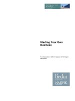 Tài liệu Starting Your Own Business: An introduction to different aspects of Norwegian regulations pptx