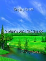 Bài giảng chuyển hóa năng lượng (Tải: https://link1s.com/yHqvN)