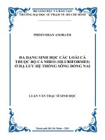 đa dạng sinh học các loài cá thuộc bộ cá nheo (siluriformes) ở hạ lưu hệ thống sông đồng nai