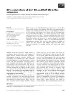 Tài liệu Báo cáo khoa học: Differential effects of Mxi1-SRa and Mxi1-SRb in Myc antagonism ppt