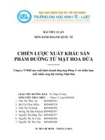 Tài liệu Đề Tài: CHIẾN LƯỢC XUẤT KHẨU SẢN PHẨM ĐƯỜNG TỪ MẬT HOA DỪA doc