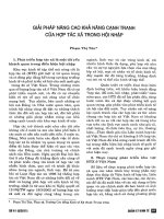 Tài liệu Báo cáo 