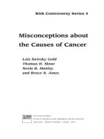Tài liệu Misconceptions about the Causes of Cancer pptx