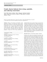 Tài liệu Female chacma baboons form strong, equitable, and enduring social bonds pptx