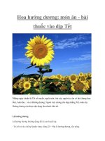 Tài liệu Hoa hướng dương: món ăn - bài thuốc vào dịp Tết doc