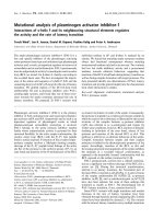 Tài liệu Báo cáo khoa học: Mutational analysis of plasminogen activator inhibitor-1 Interactions of a-helix F and its neighbouring structural elements regulates the activity and the rate of latency transition pdf