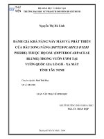 đánh giá khả năng nảy mầm và phát triển của dầu song nàng (dipterocarpus dyeri pierre) thuộc họ dầu (dipterocarpaceae blume) trong vườn ươm tại vườn quốc gia lò gò - xa mát tỉnh tây ninh
