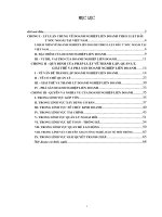quy định của pháp luật về thành lập, quản lý, giải thể và phá sản doanh nghiệp liên doanh