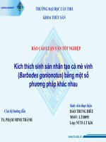 Tài liệu Luận văn: Kích thích sinh sản nhân tạo cá mè vinh bằng một số phương pháp khác nhau docx